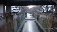DSC01466.JPG